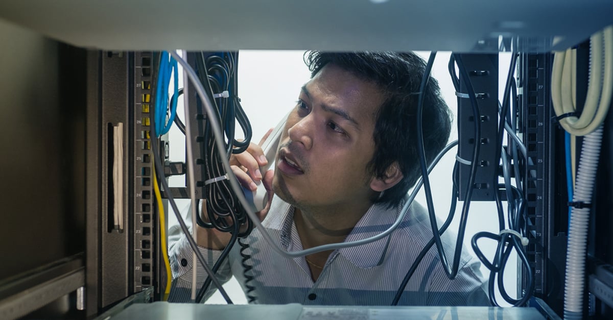 IT engineer examining network cables