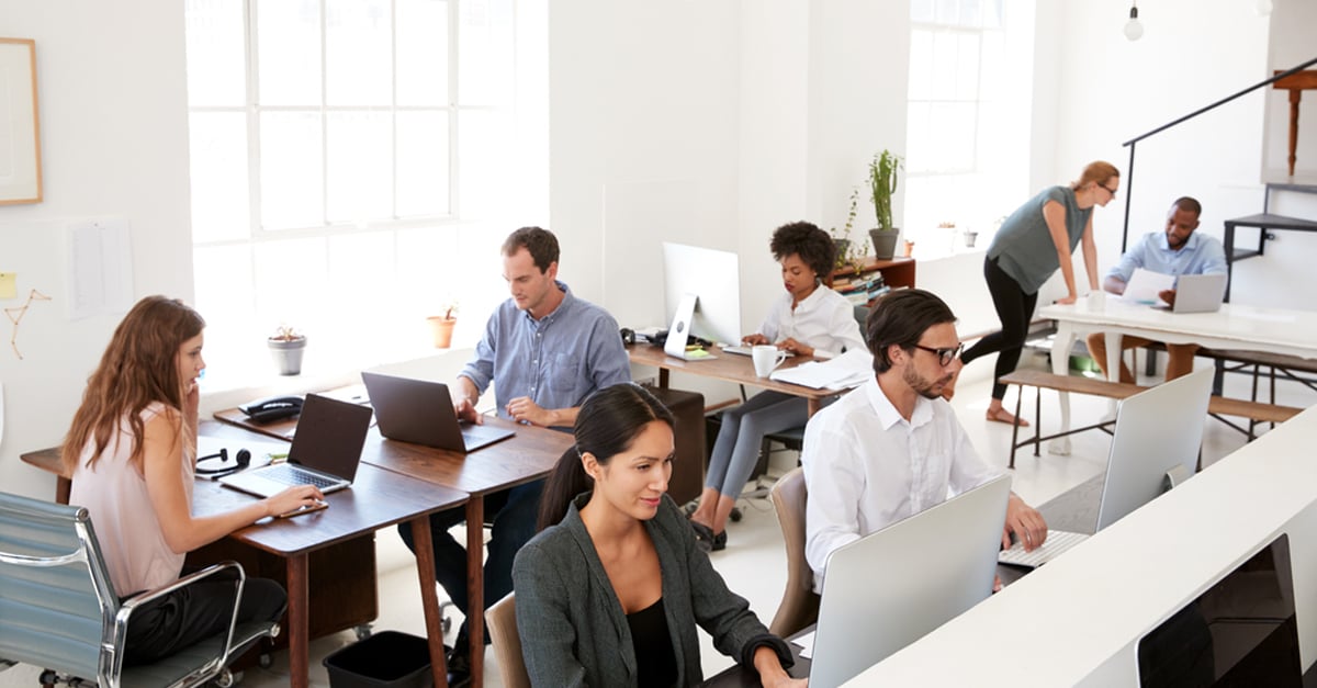 team of people working in an office